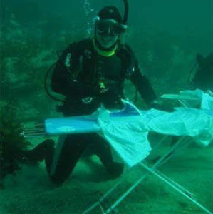 Meet your Posher, Njoku